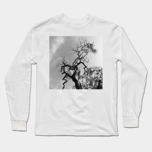 Old Spooky Bare Tree Branches Long Sleeve T-Shirt